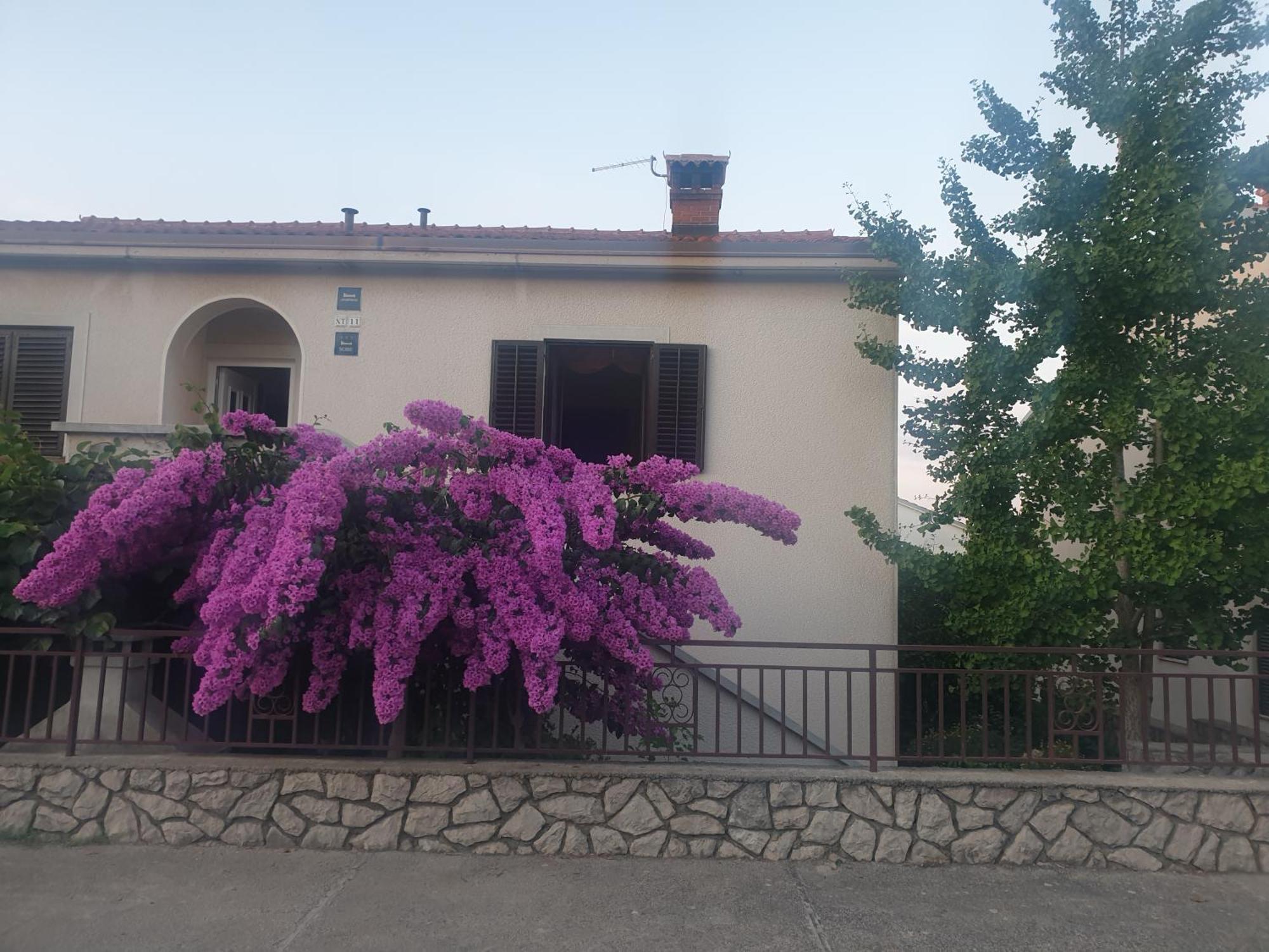 Apartments Mara Mali Losinj Exterior photo